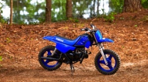 Yamaha PW50 2023